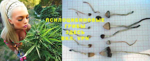 mdma Лиски