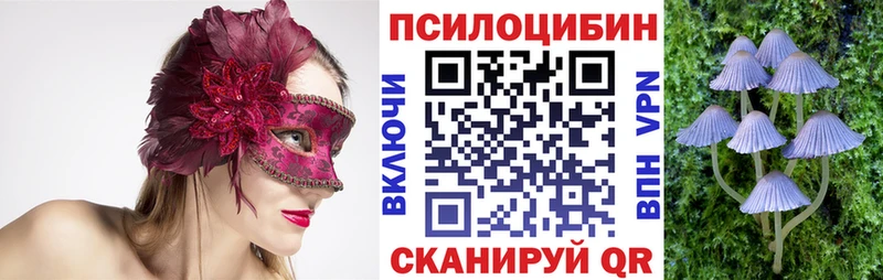 Галлюциногенные грибы Magic Shrooms  omg ONION  Таштагол 